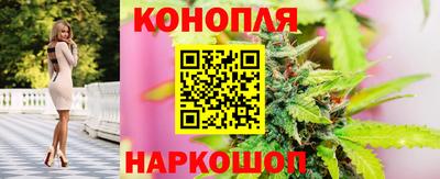 гидра Донецк
