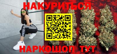 гидра Донецк