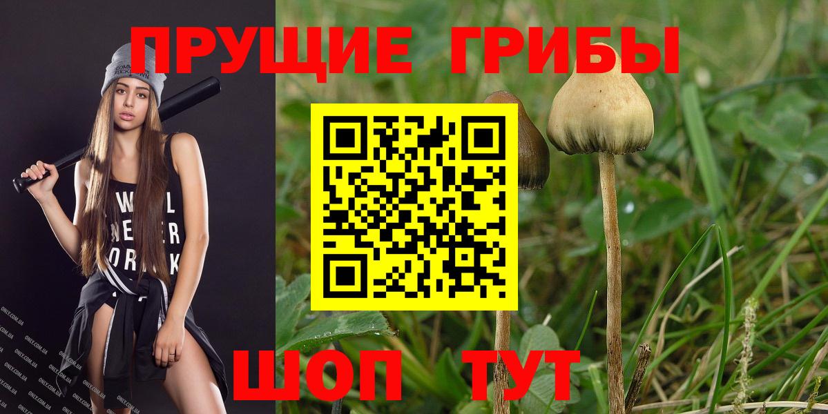 Псилоцибиновые грибы прущие грибы  Вход с VPN  Галлюциногенные грибы ЛСД  Каменка 